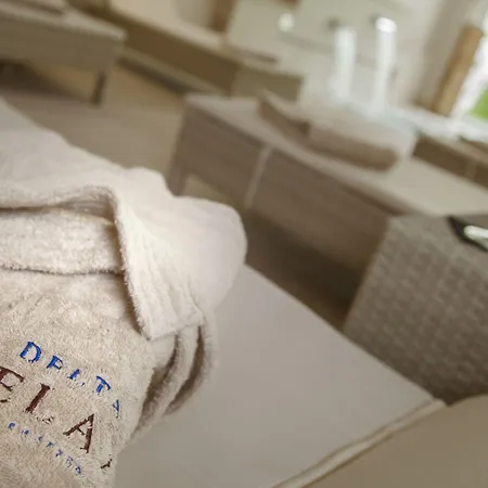 Delta - Parkhotel Delta 4* Ασκόνα